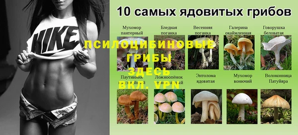 гашишное масло Богородицк