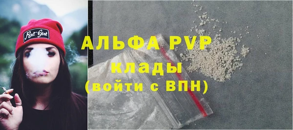 индика Богородск