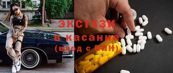 индика Богородск