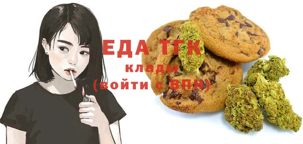 индика Богородск