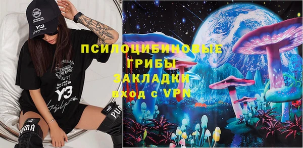 индика Богородск